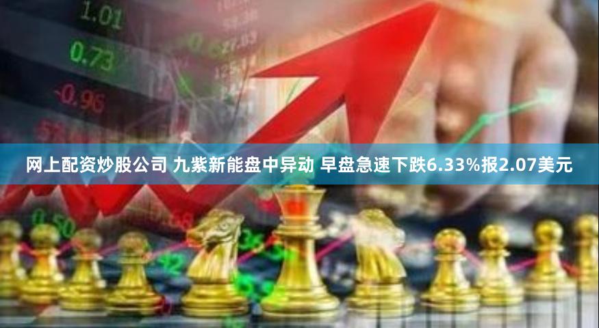 网上配资炒股公司 九紫新能盘中异动 早盘急速下跌6.33%报2.07美元