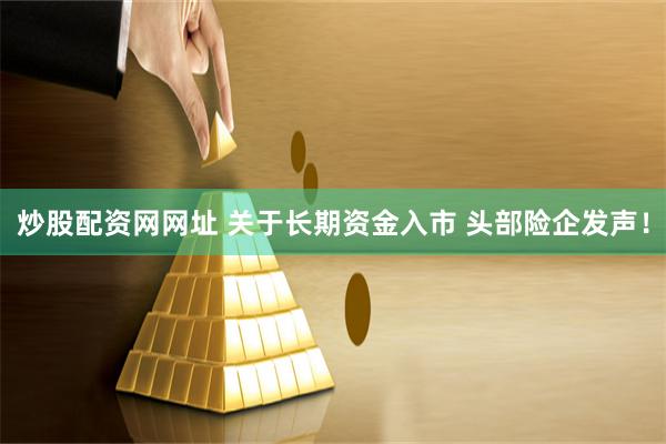 炒股配资网网址 关于长期资金入市 头部险企发声！