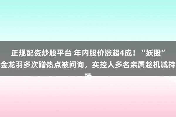 正规配资炒股平台 年内股价涨超4成！“妖股”金龙羽多次蹭热点被问询，实控人多名亲属趁机减持