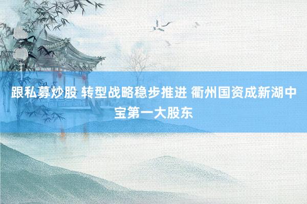 跟私募炒股 转型战略稳步推进 衢州国资成新湖中宝第一大股东