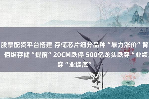 股票配资平台搭建 存储芯片细分品种“暴力涨价”背后：佰维存储“提前”20CM跌停 500亿龙头跌穿“业绩底”